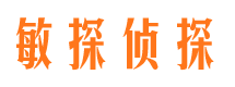 盐池侦探公司